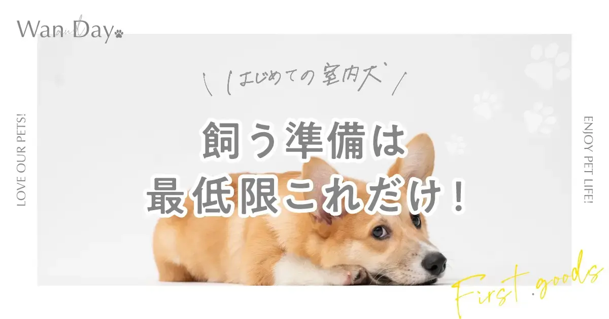 はじめての室内犬。買う準備は最低限これだけ！