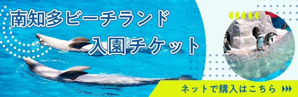 南知多ビーチランド入園チケットのネット購入はこちら