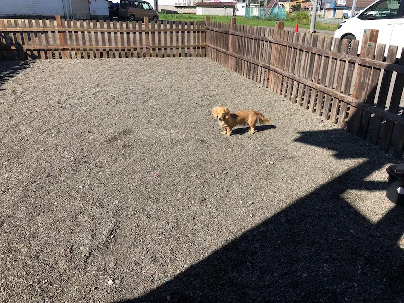 和み舎ひるがの別邸のドッグラン。木の柵で囲われている。