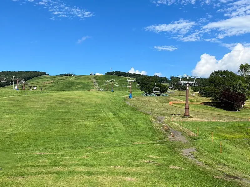 ひるがのピクニックガーデンの写真。よく晴れた空で、山は一面芝生で覆われている。スキー用のリフトもある。